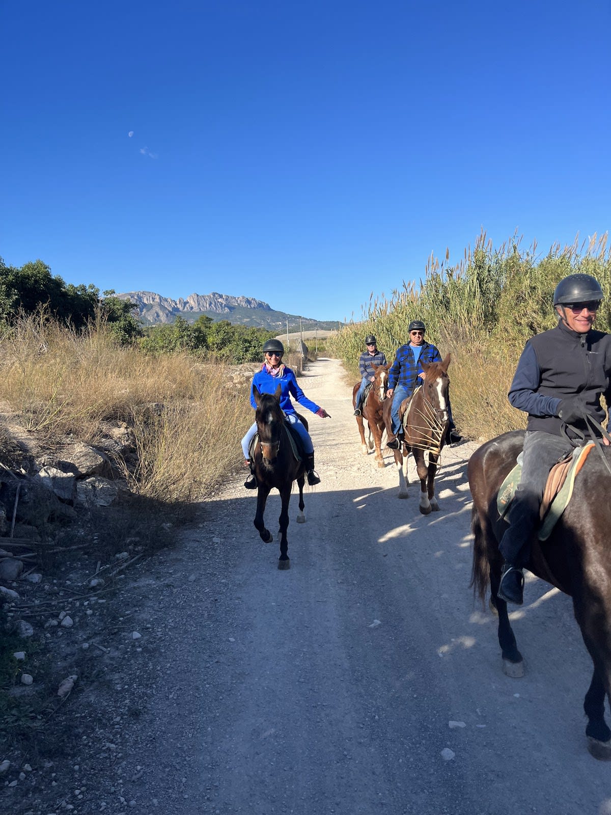 Club Hipico Altea - Hipica in Altea