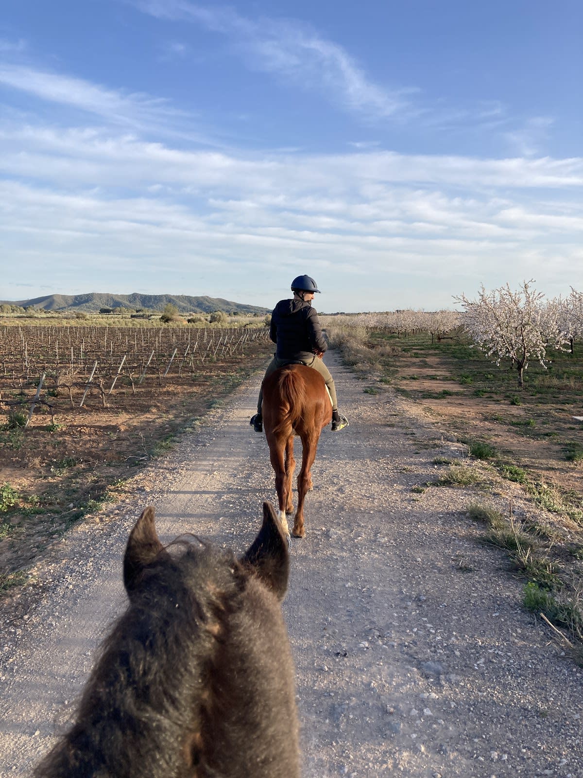 Rocaplana Club de Campo - Hipica in Vila-rodona