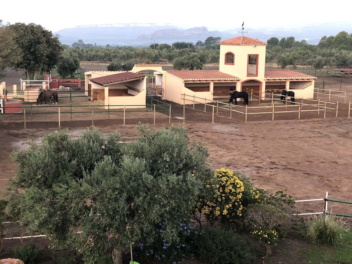 Mas Riola. Ganaderia ISACEL - Hipica in Montbrió del Camp