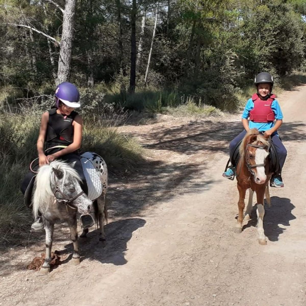 Equusnatura hípica - Hipica in Navarcles