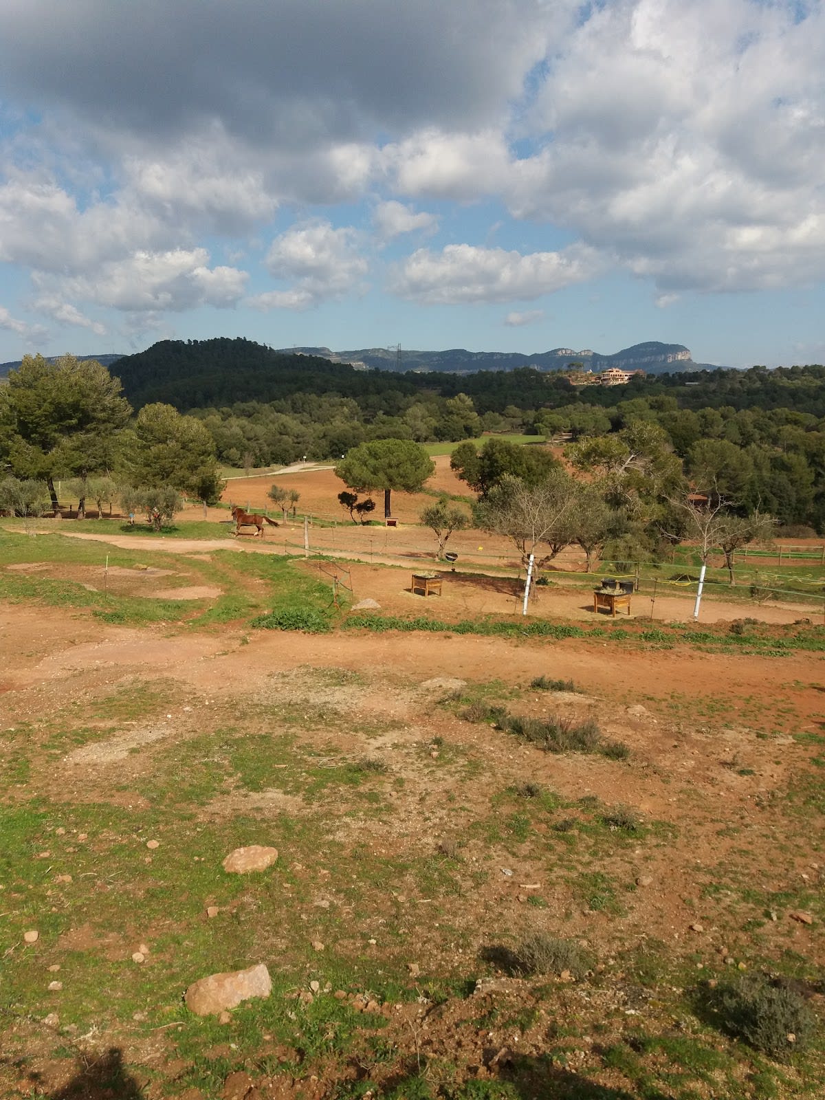Can Cadafalch - Hipica in Castellar del Vallès