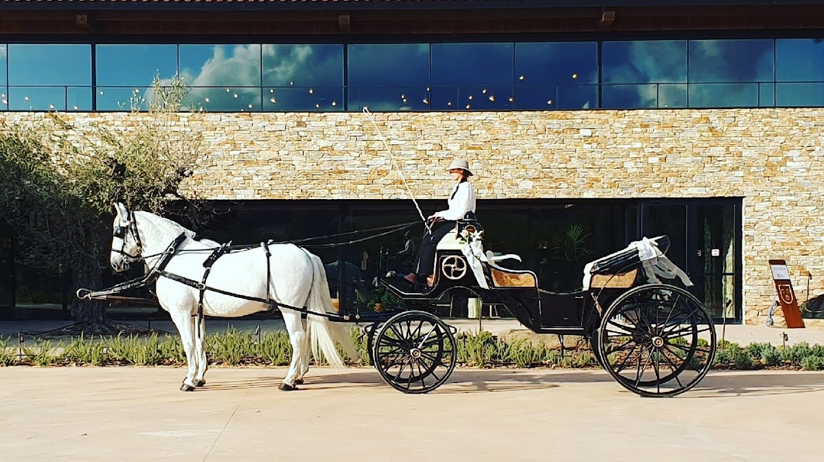 PUJOL CAVALLS S.L. - Hipica in Barcelona