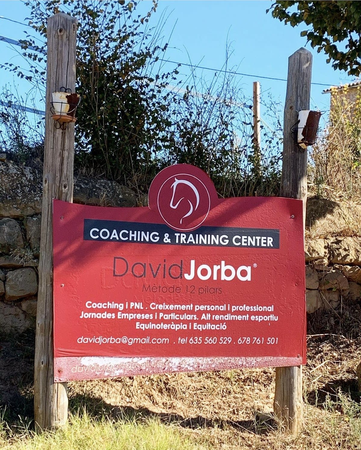 David jorba centre de coaching amb cavalls - Hipica in Lleida
