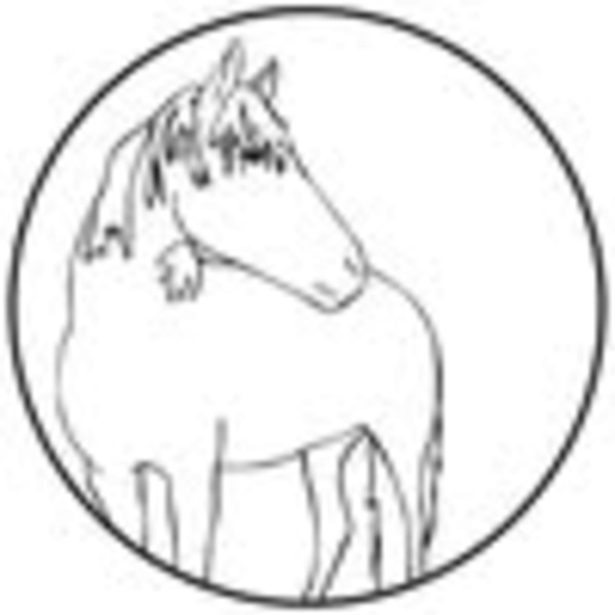 Cavalls del Bosc - Hipica in Sabadell