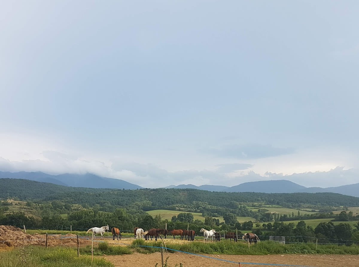 Cavalls de Cerdanya - Hipica en Prats i Samsor