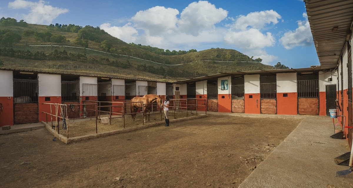 Centro Hípico Gran Canaria - Hipica in Las Palmas de Gran Canaria