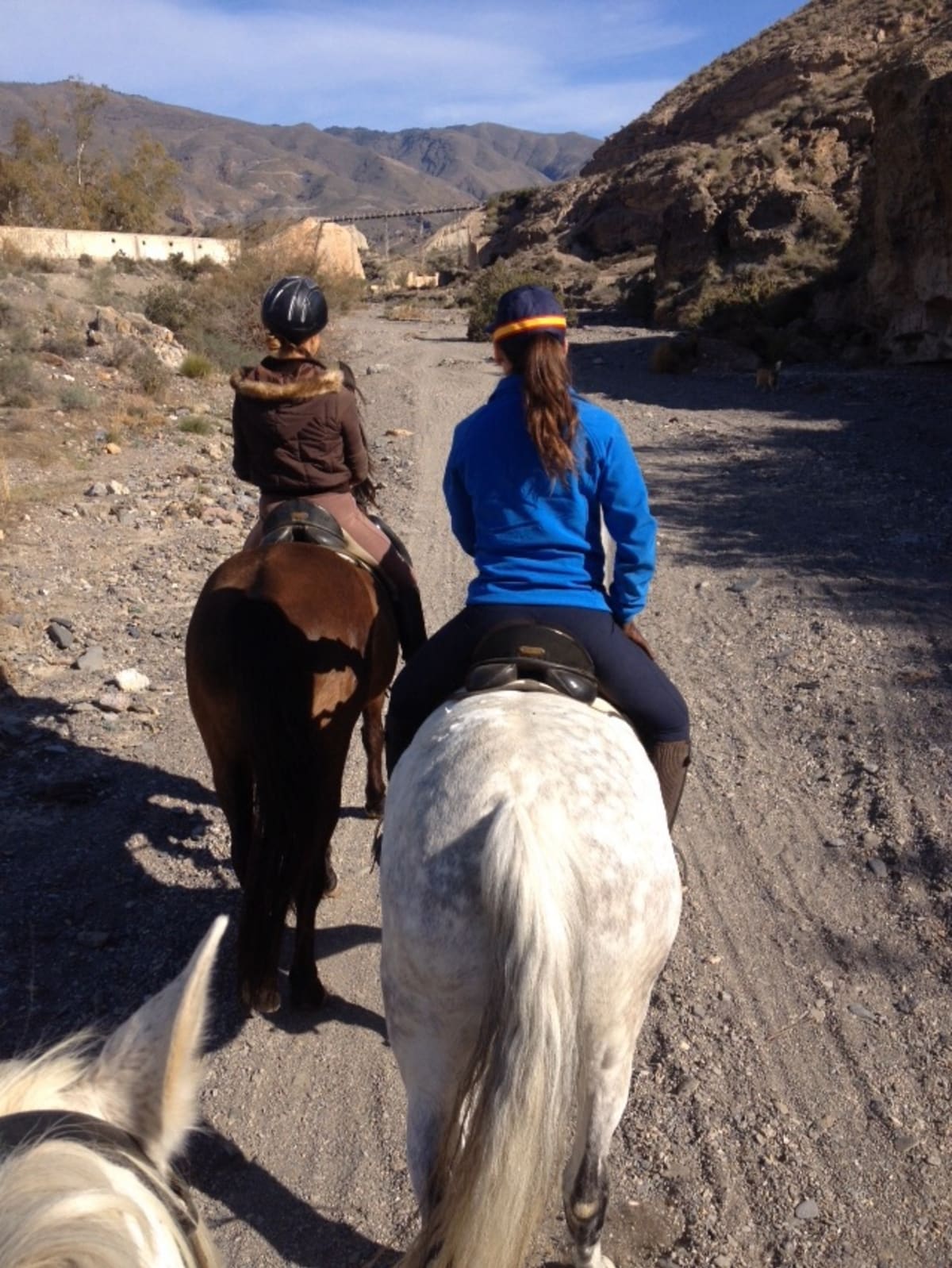 Escuela indaliana de arte ecuestre - Hipica in Almería