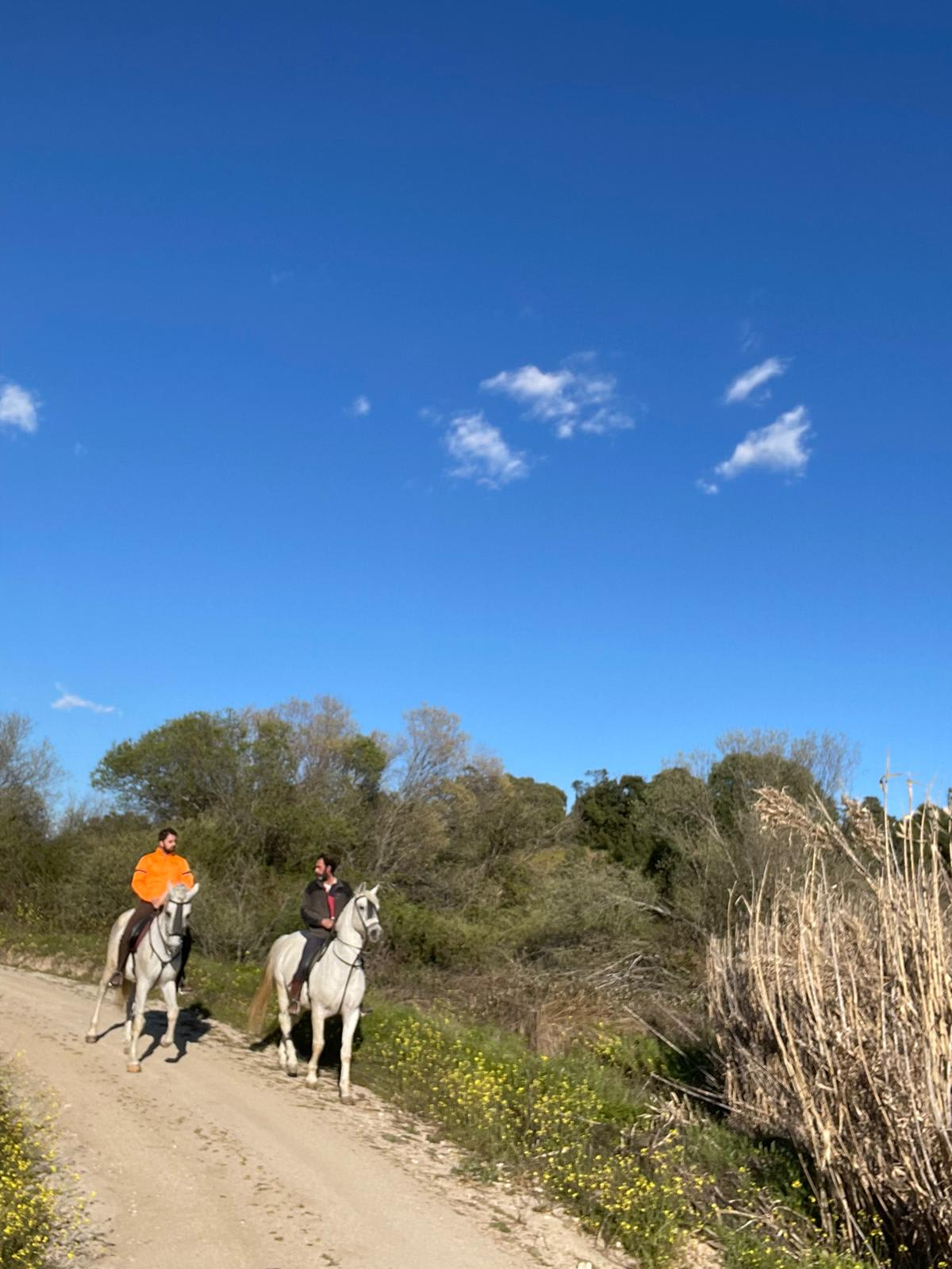 Hípica Finca la Criolla - Hipica in Toledo