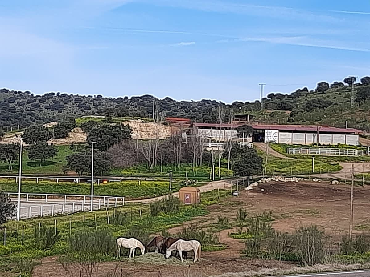 Cuadras la Santa Cruz - Hipica in Pepino