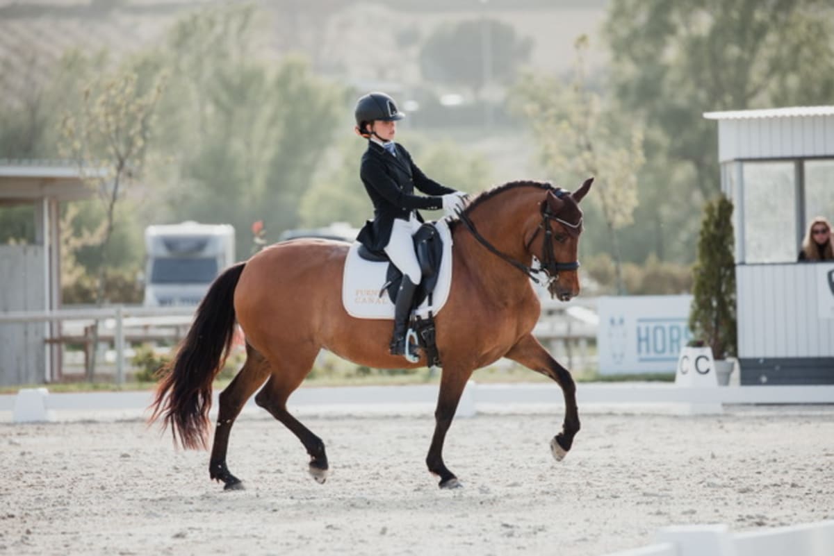 Centro Hipico Fuente Cañal - Hipica in Fresnedillas de la Oliva