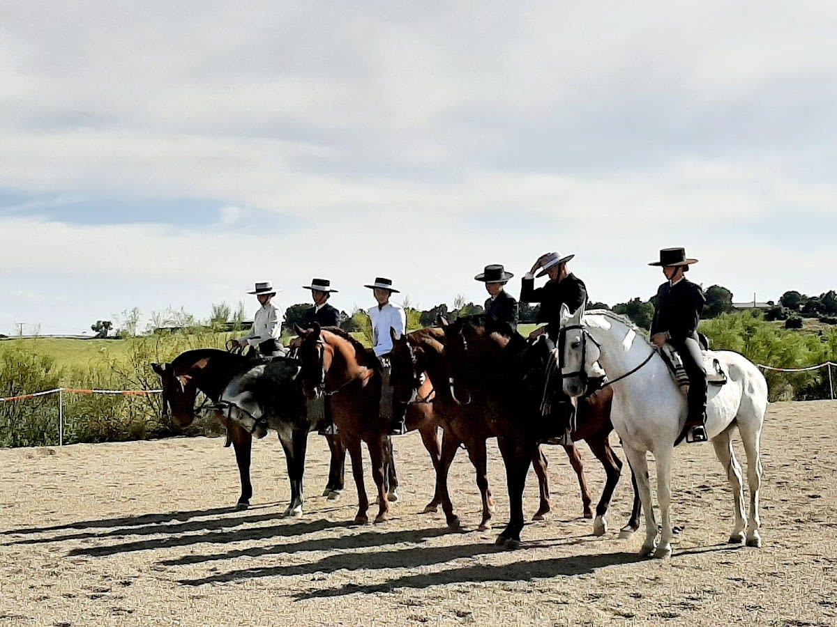 Cipri Hipica Comotu - Hipica in Navalcarnero
