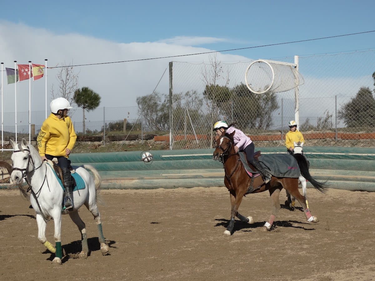 Center Equestre Green Bay - Hipica in Villanueva de la Cañada