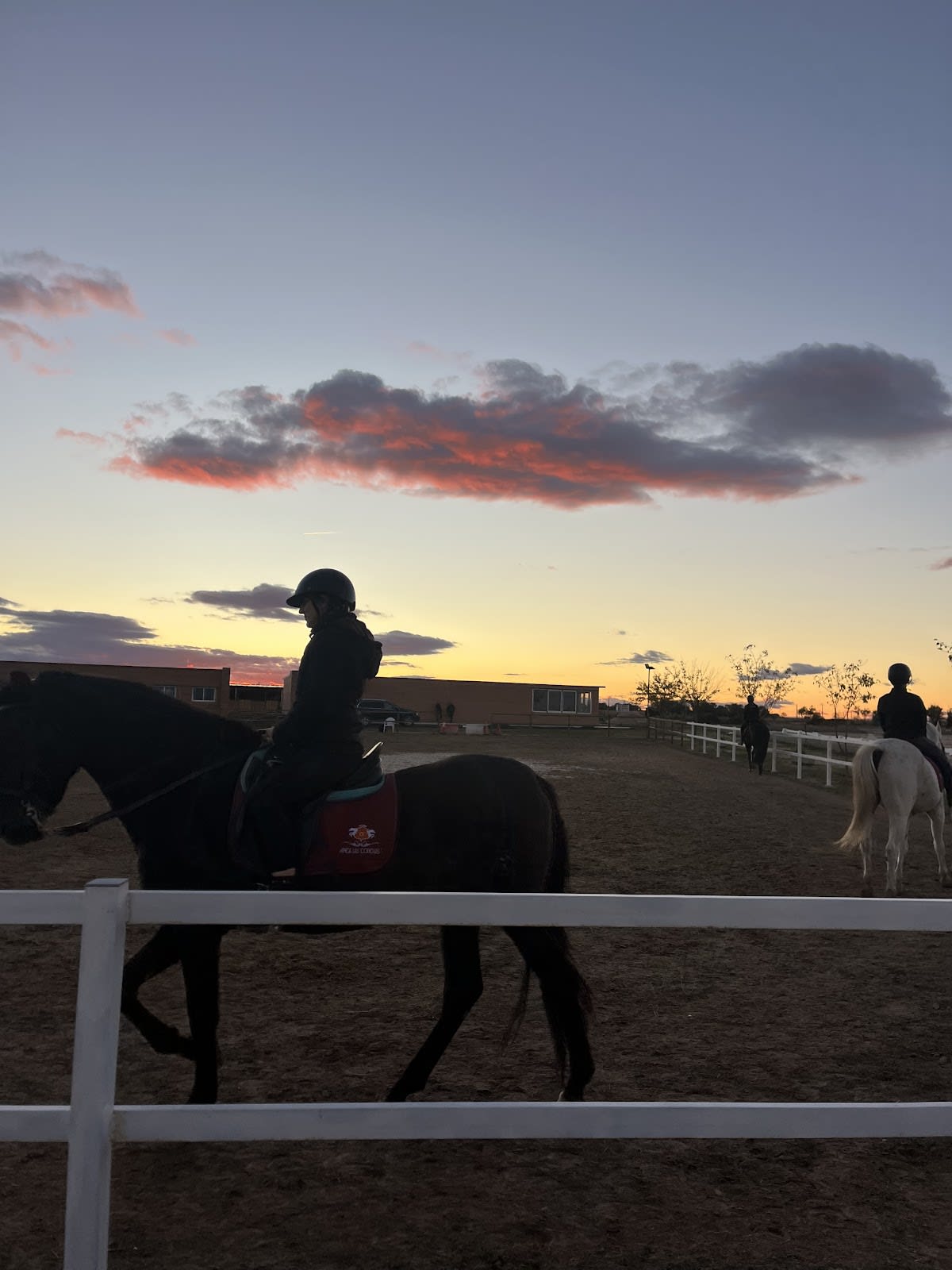 Hipica Las Conchas - Hipica em Ugena