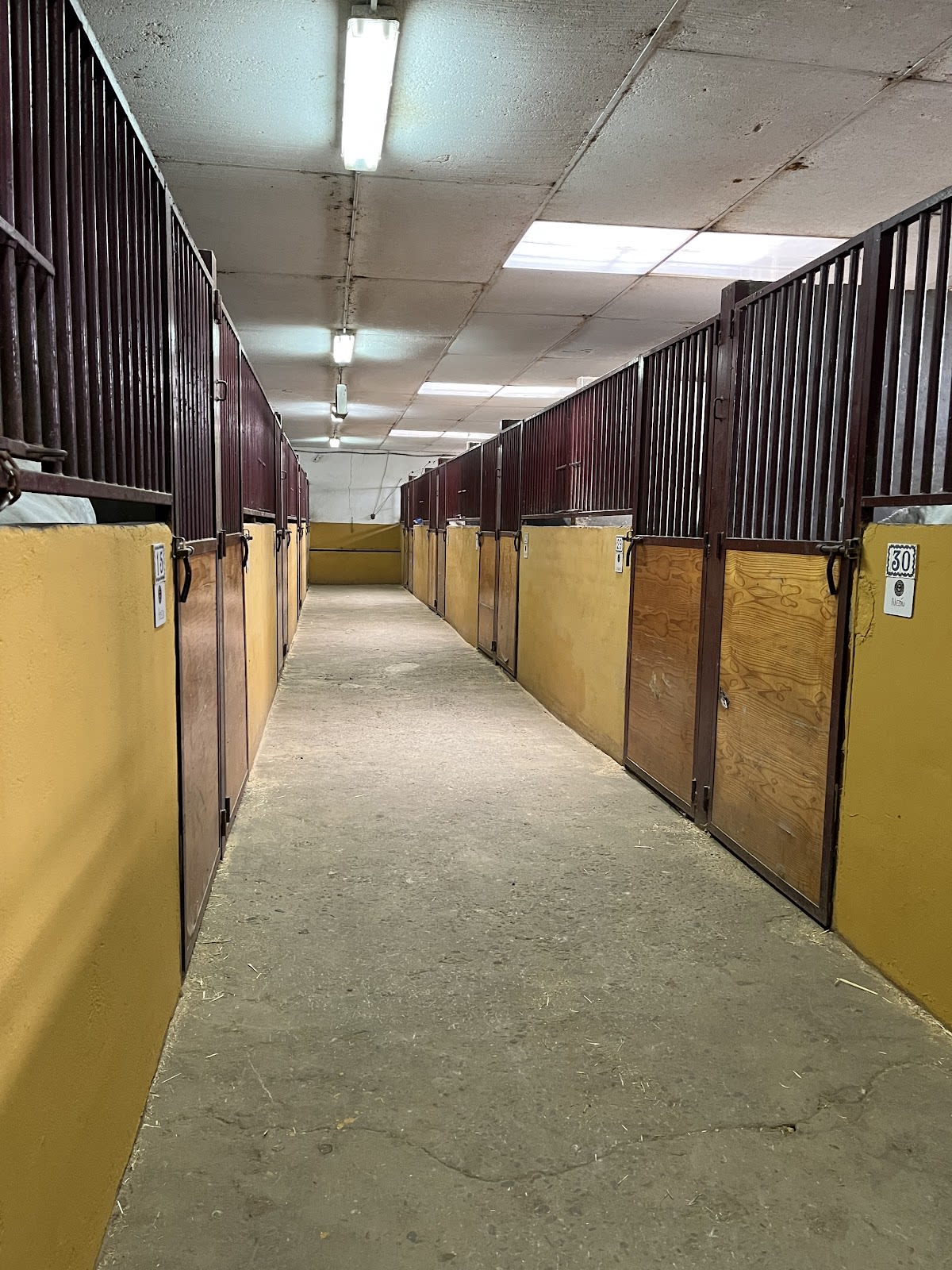 Hípica Sebastián Sobrino - Hipica in Cedillo del Condado