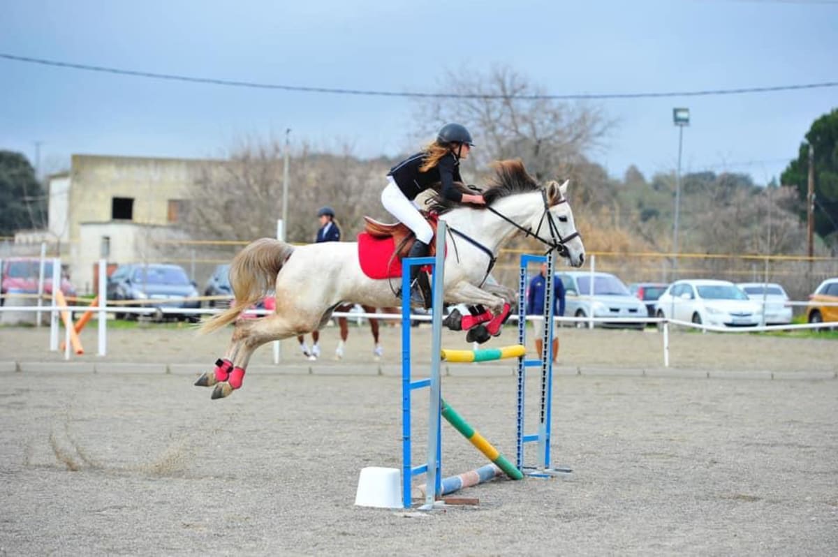 Hípica Señora Maria - Hipica in Navalcarnero