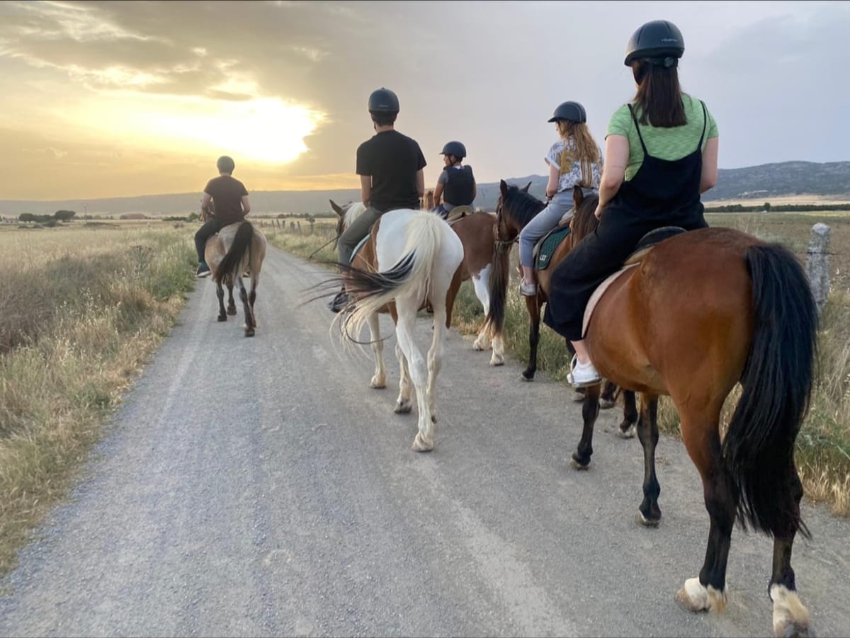 Club hípico Los Matías - Hipica a Salobral