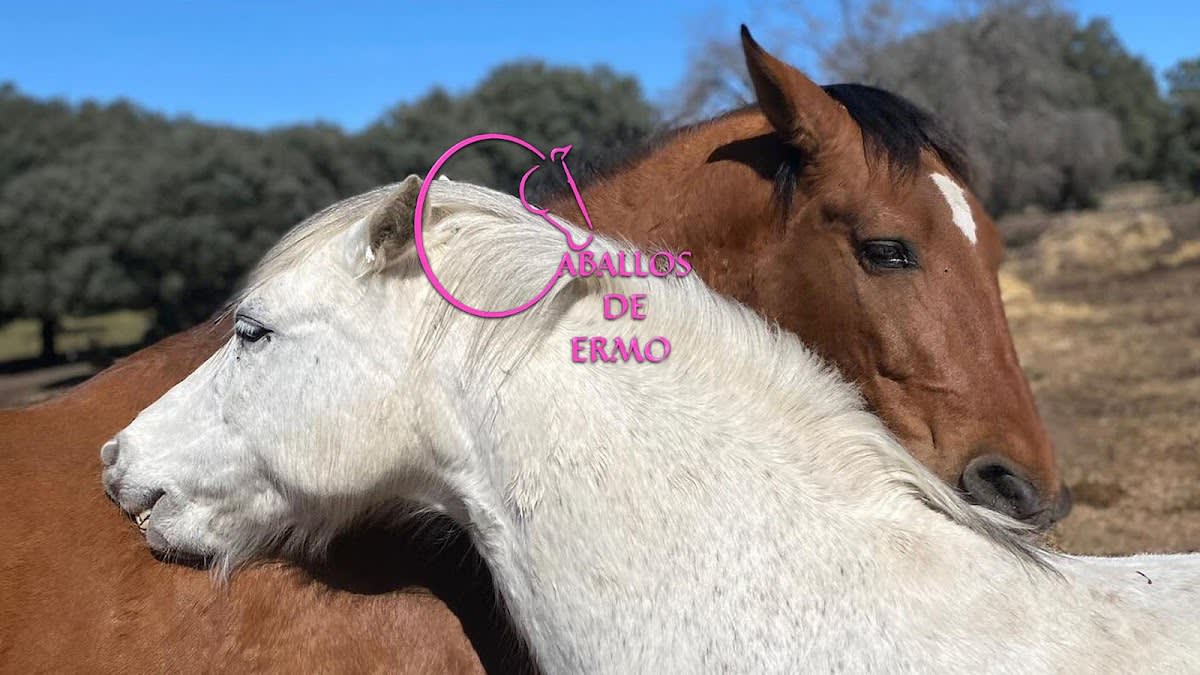 Caballos de Ermo - Hipica in El Escorial