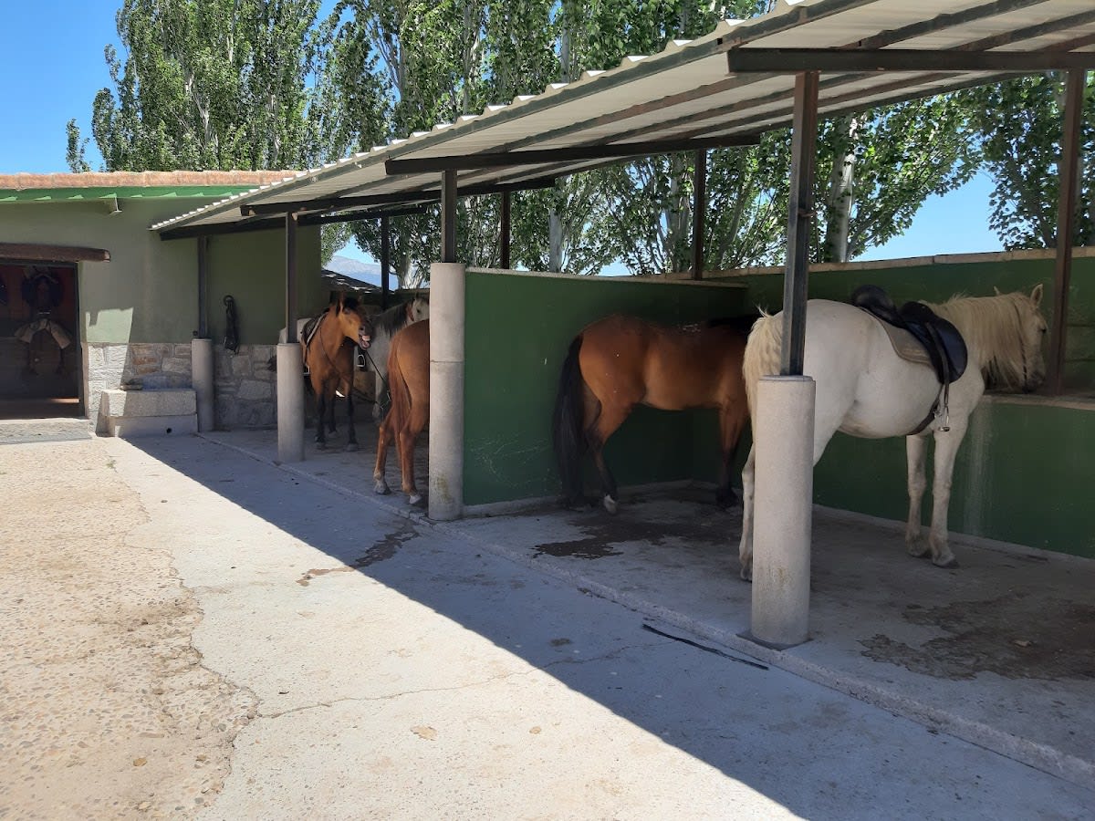 Hípica Prados Monteros - Hipica in Los Molinos