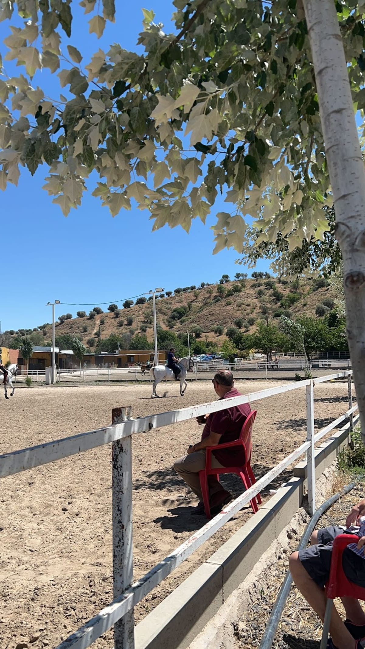 CLUB HÍPICO DOMA VAQUERA ALEADA - Hipica en Camarma de Esteruelas