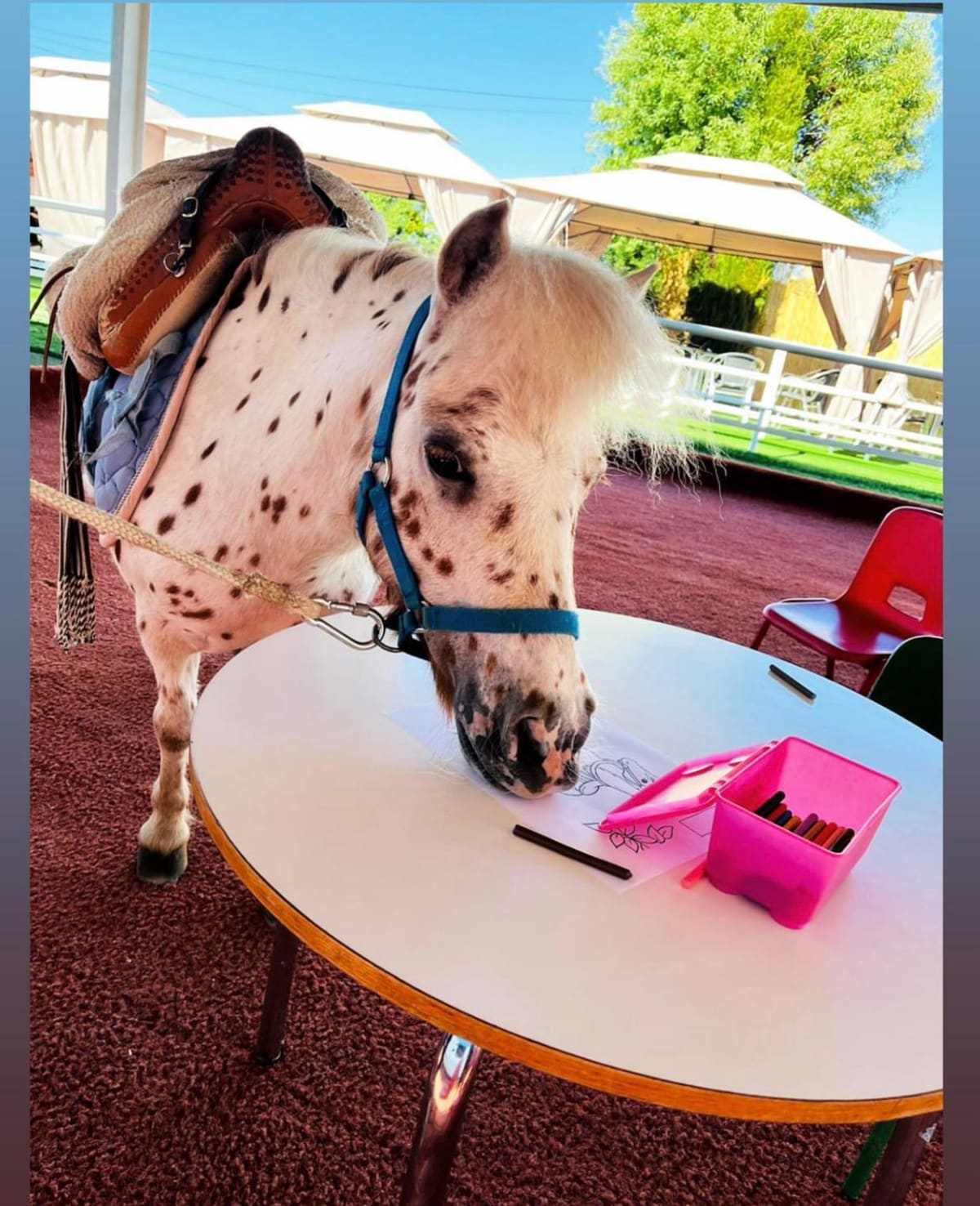 Pequeñas herraduras - Hipica a Torrejón de Ardoz