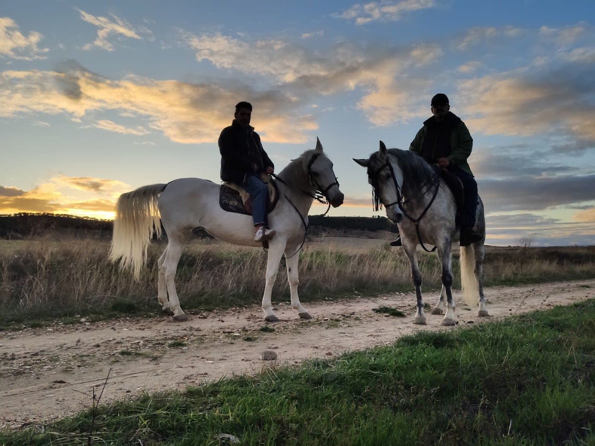 "EL DUQUE" (Espectáculos Ecuestres. Escuela de Equitación) - Hipica en Mojados