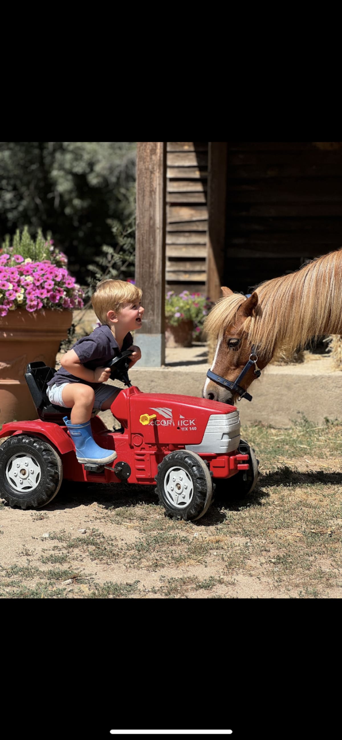 Equivalle Espacio Ecuestre - Hipica en Madrid