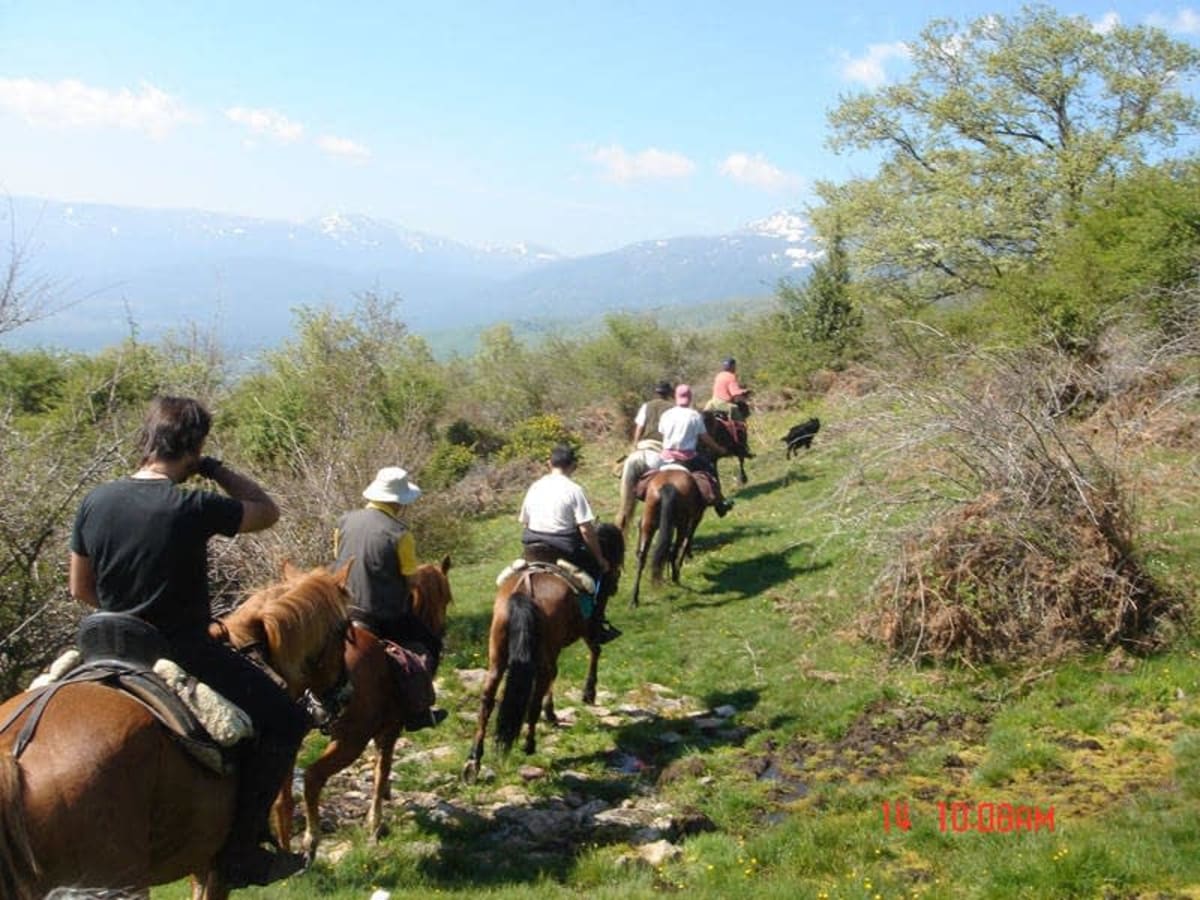 Horses Del Valle - Hipica in Oteruelo del Valle