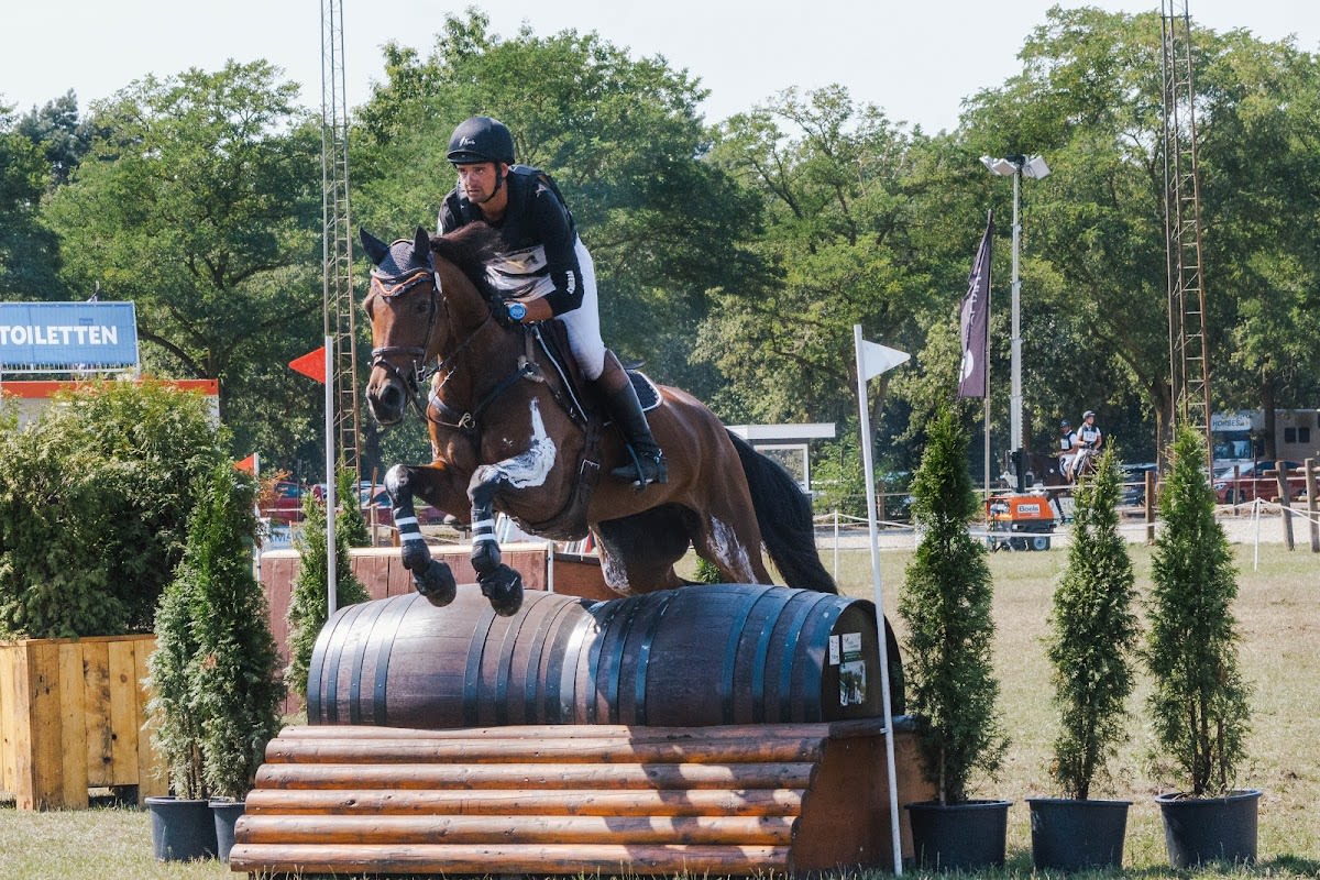 Club Hípico Quercus VQR - Hipica in Villafranca del Castillo