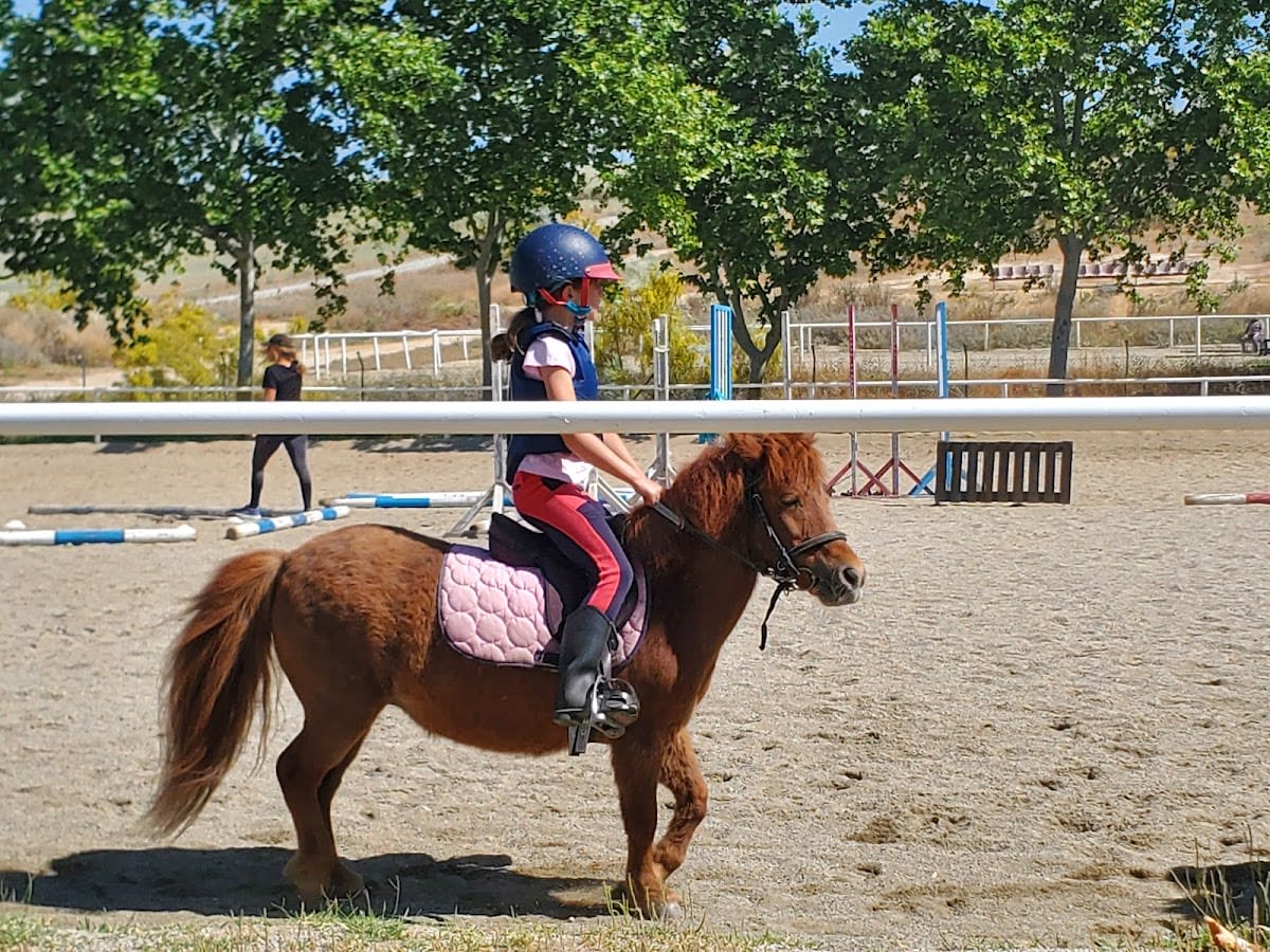 Club Hípico Villaviciosa de Odón - Hipica in Villaviciosa de Odón