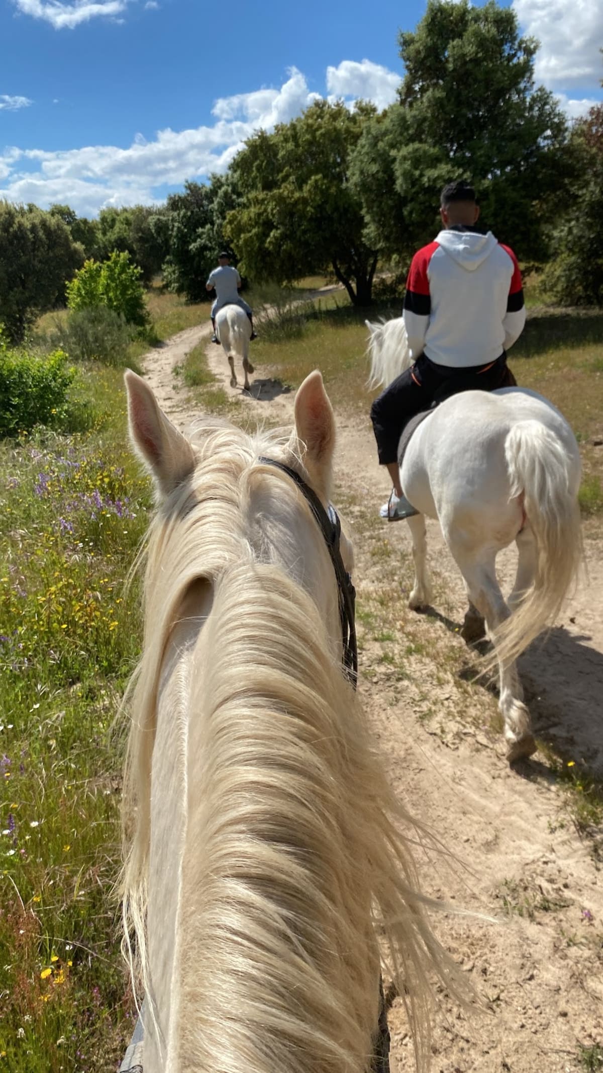 Club Hípico Cairel - Hipica in Navalcarnero