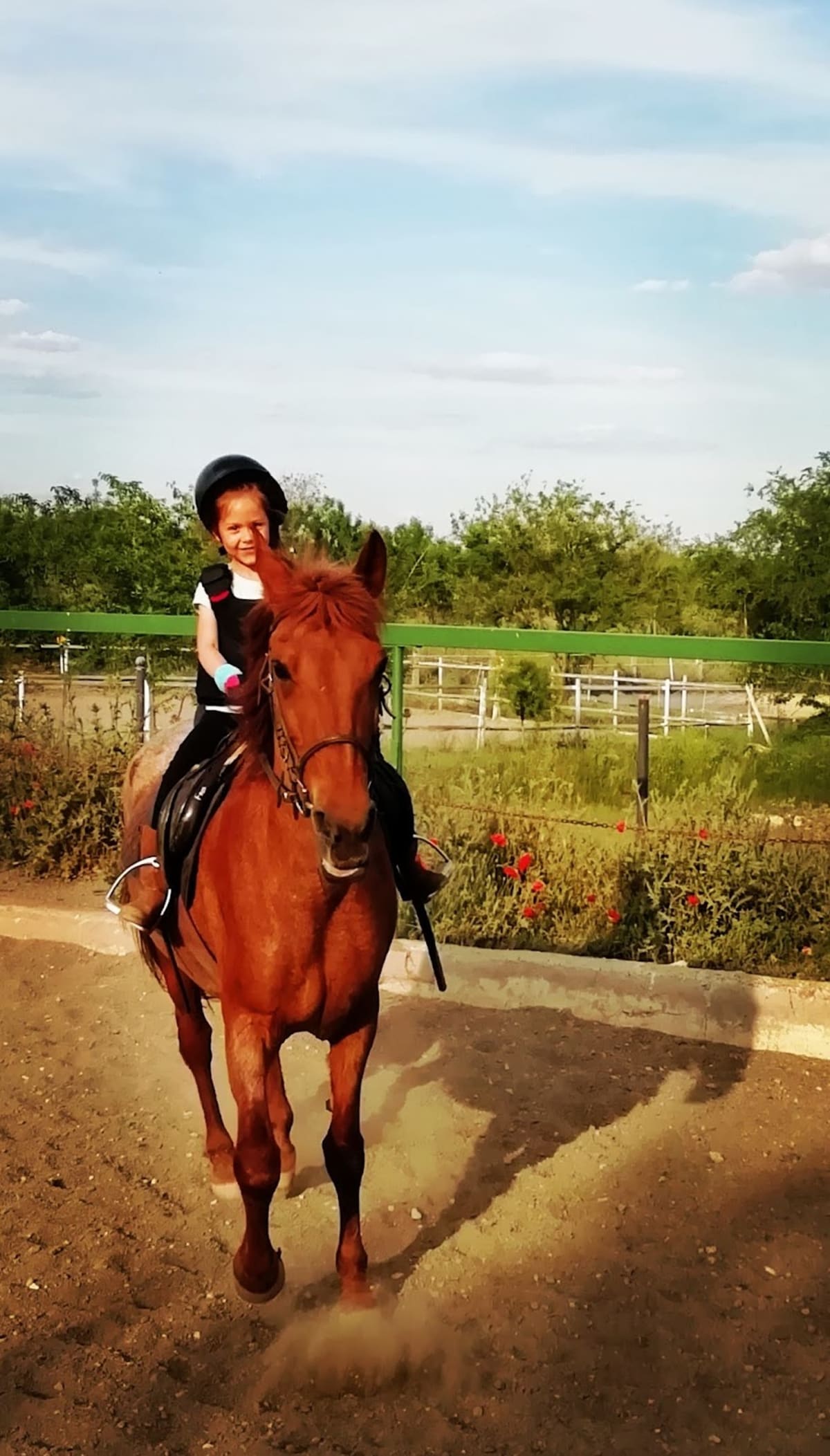 Centro Hipico el Capricho - Hipica in Pozuelo del Rey