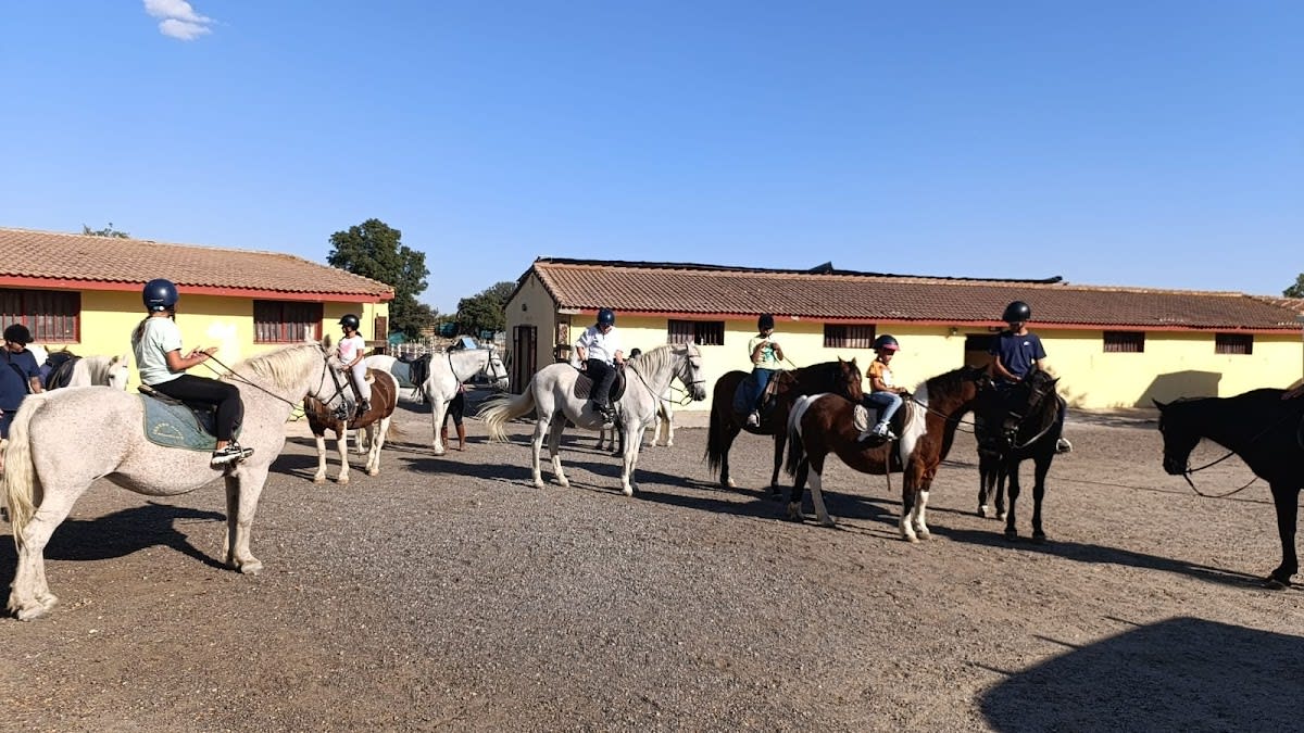 Caballos Mojadillas - Hipica in Valdemorillo