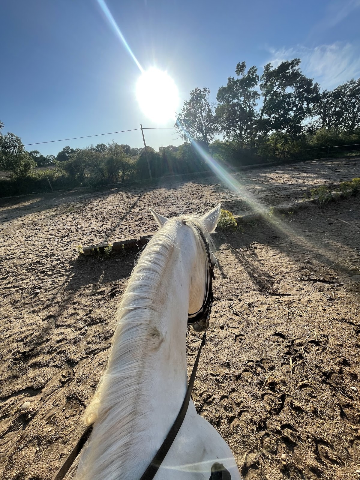 La Tinada Del Cadagua - Hipica en Riaza