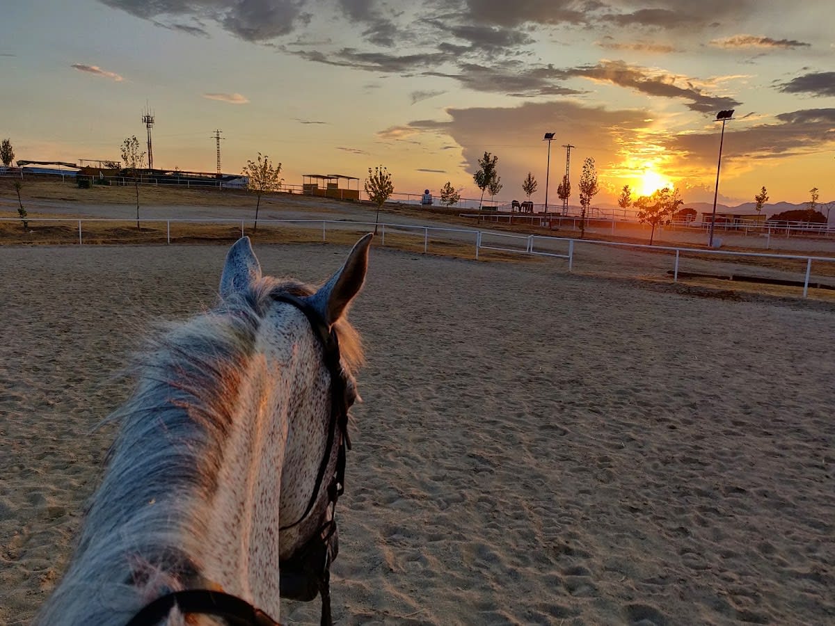Hípica El Potril - Hipica in Brunete