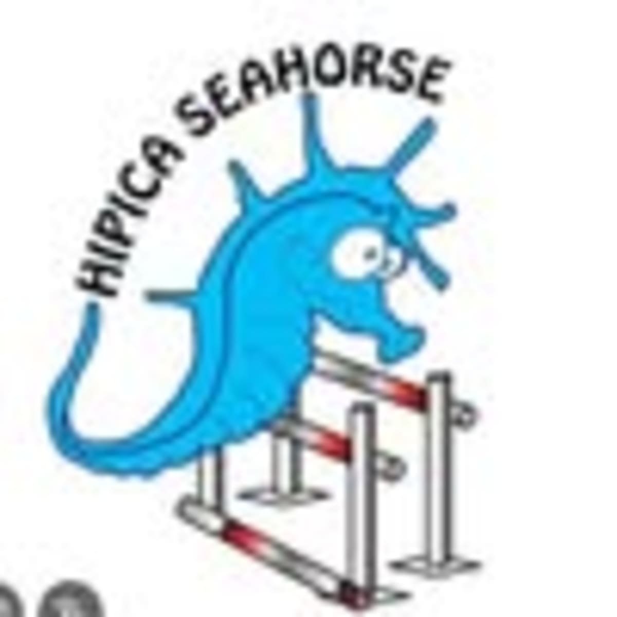 Escuela hípica seahorse - Hipica in Navalcarnero