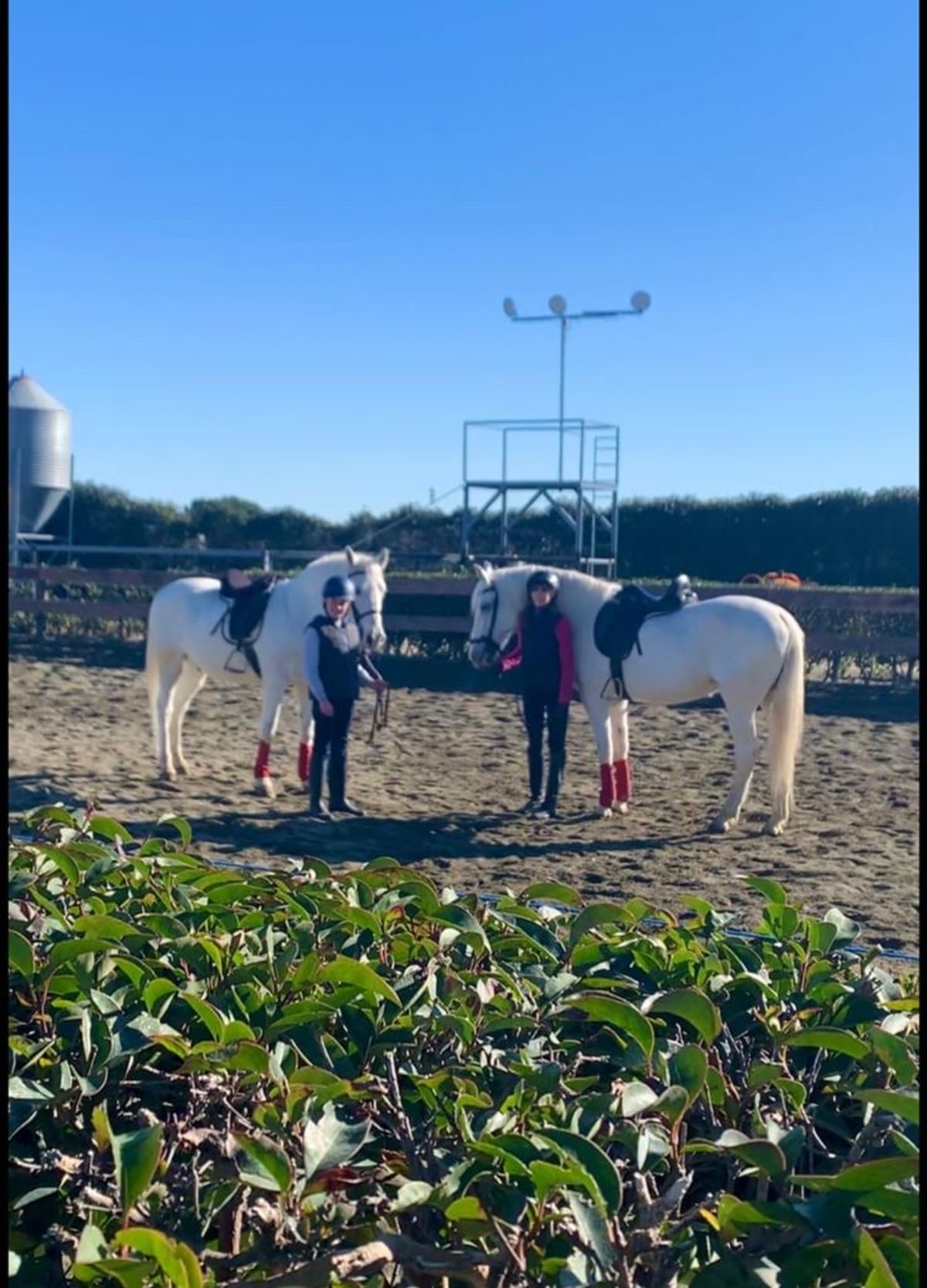 Finca Santa Matilde - Hipica in Toledo