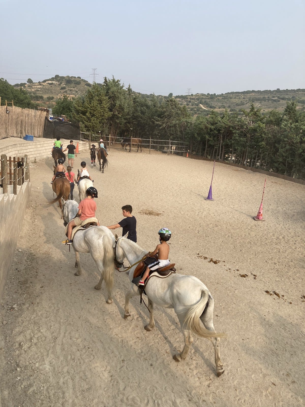 Equinoterapia Alecliba - Hipica in Arganda del Rey