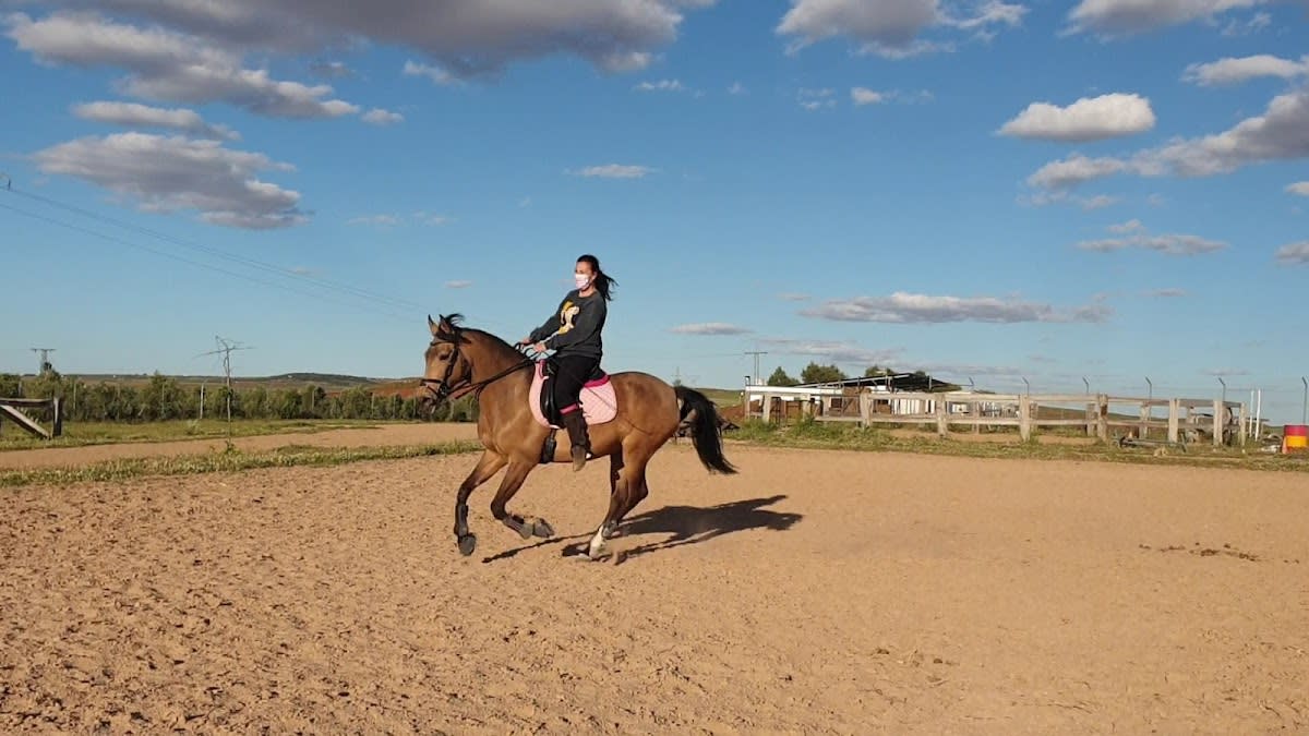 Club de Hípica El Gamonal - Hipica in Alcázar de San Juan