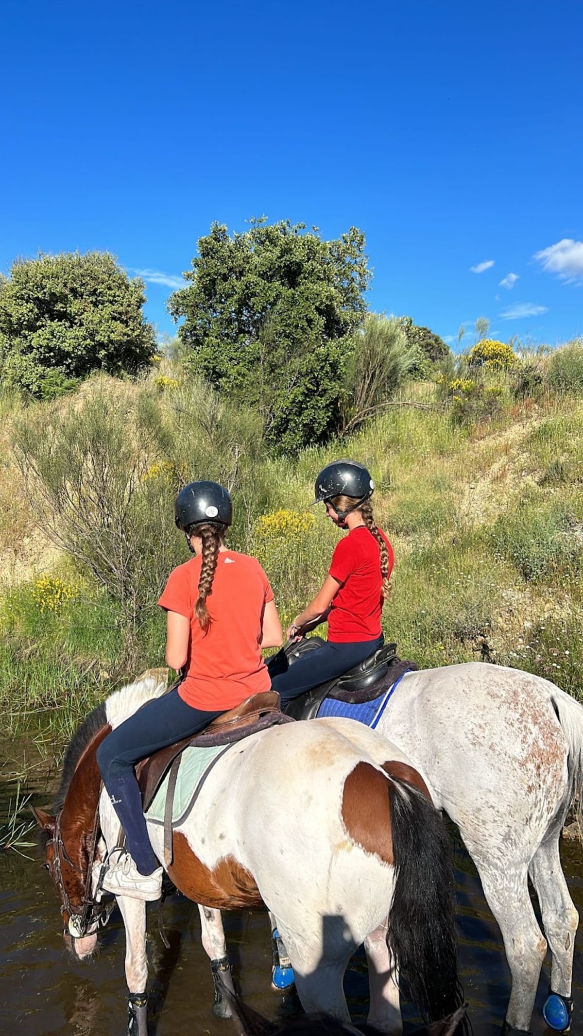 Centro de equitación M2 - Hipica in Villanueva del Pardillo