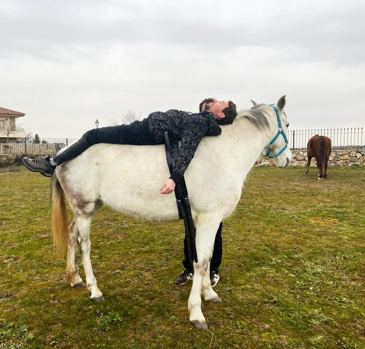 ASOCIACIÓN SEGOVIANA DE DESARROLLO ECOSOCIAL. (A. SEDDE) - Hipica in Segovia