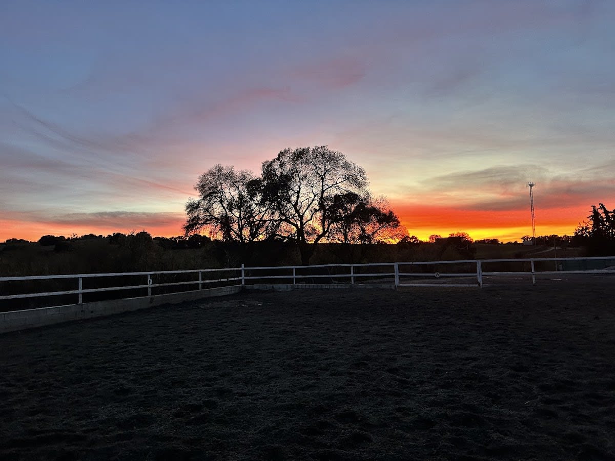 Hípica EL REMOLINO - Hipica in Navalcarnero