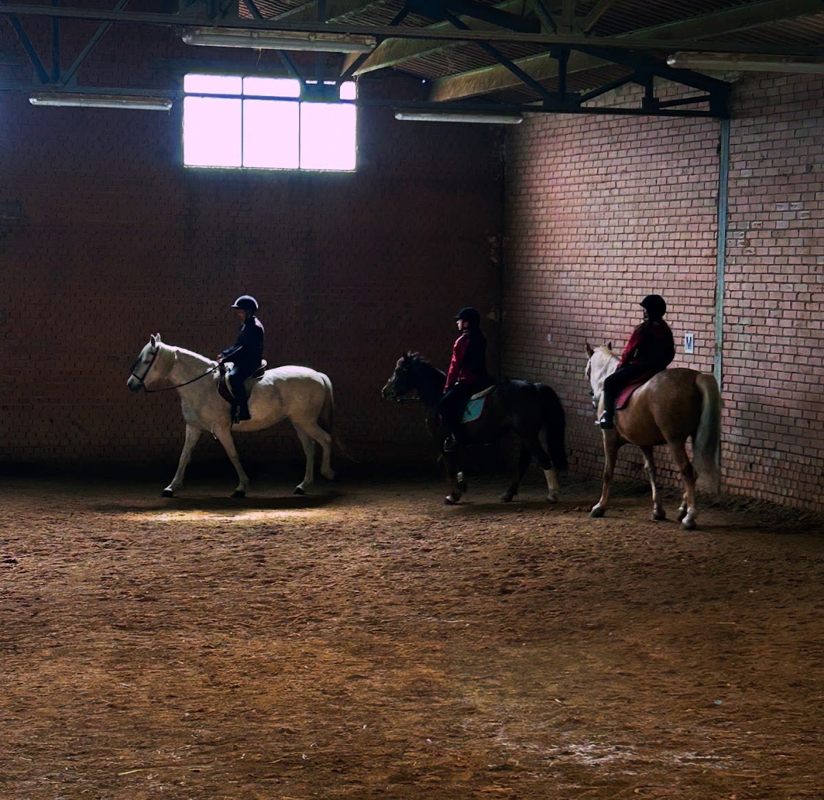 Horses Del Val - Hipica en Fuentemilanos