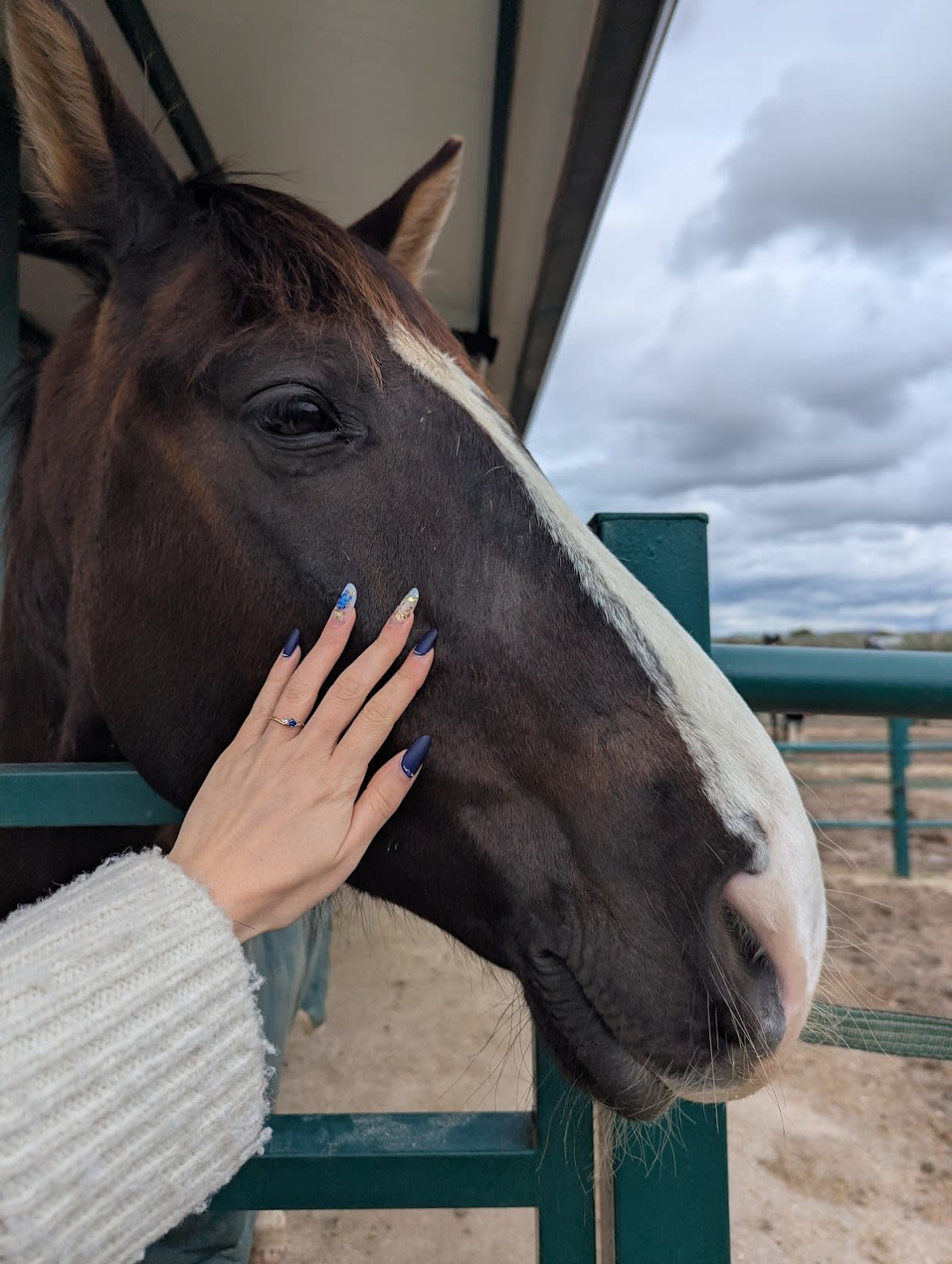 FINCA TRES OLIVOS - Hipica a Valdetorres de Jarama