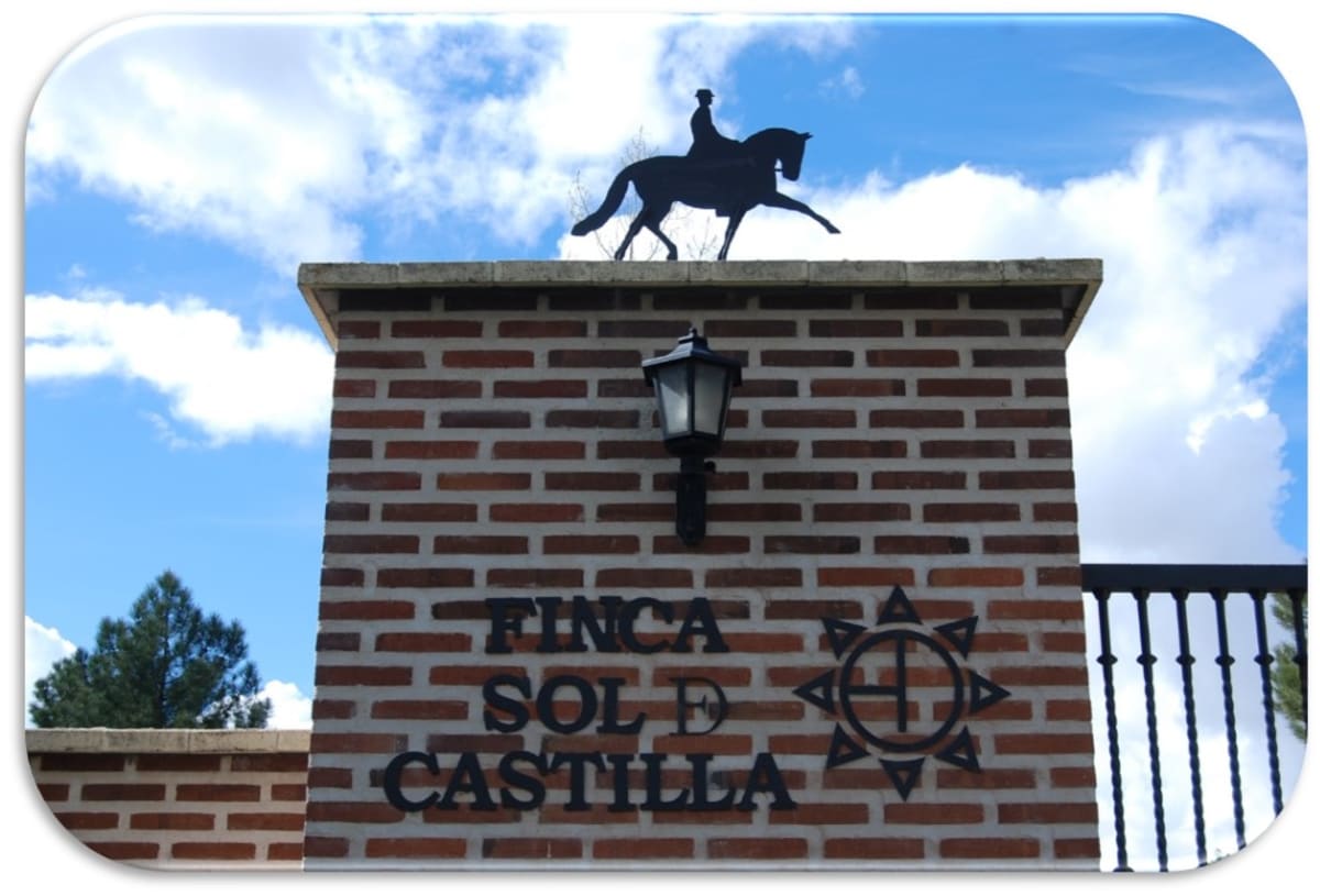 Yeguada Sol de Castilla - Hipica in Tiñosillos