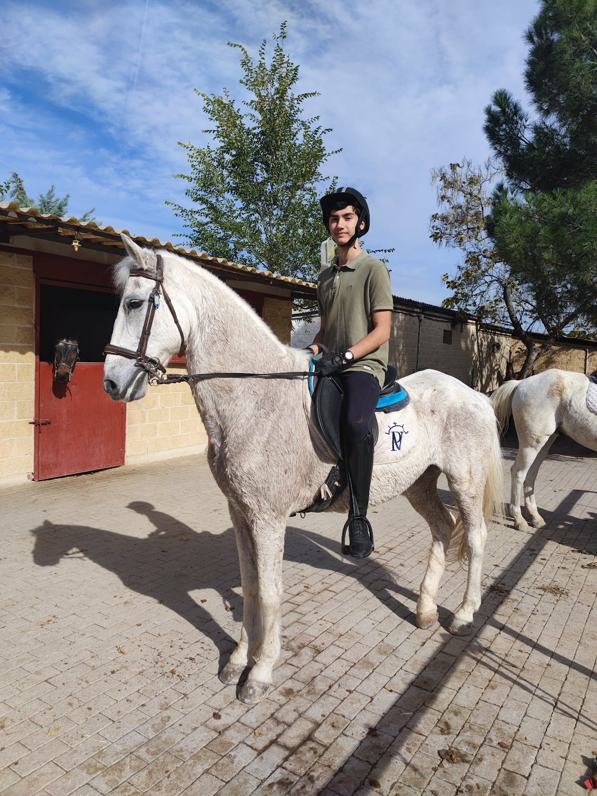 Hípica Prado de Viñuelas - Hipica in Madrid