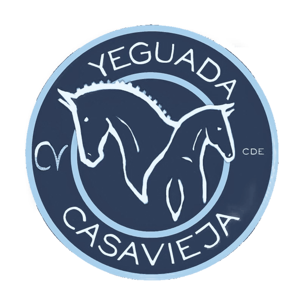 Yeguada Casavieja - Hipica a San Sebastián de los Reyes