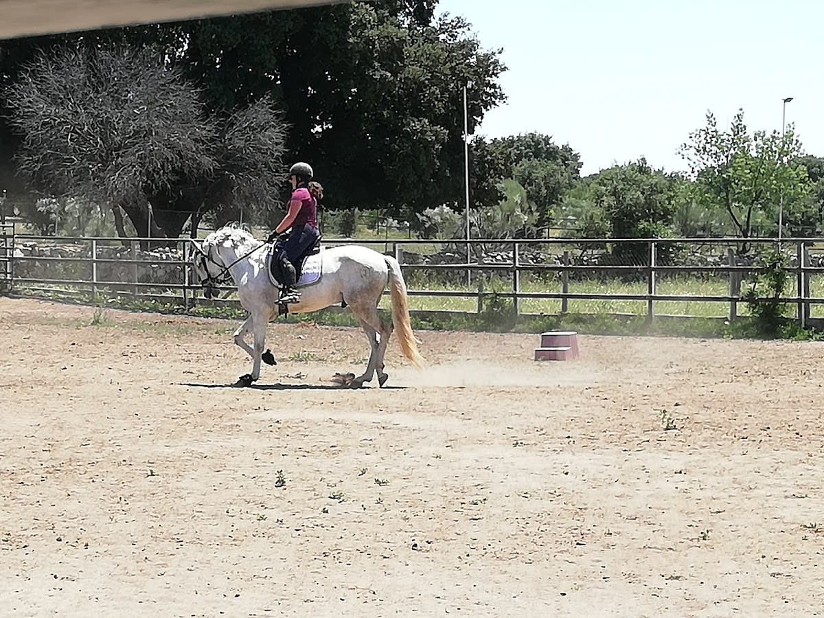 Yeguada Jerez - Hipica in Valdemorillo