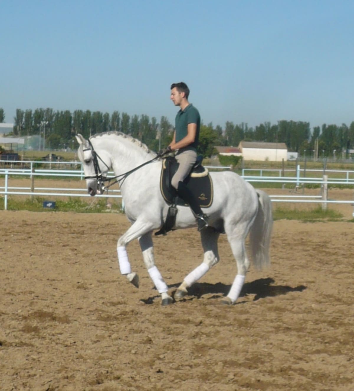 Centro Ecuestre Fernando Fernández Dressage - Hipica in Aldealengua