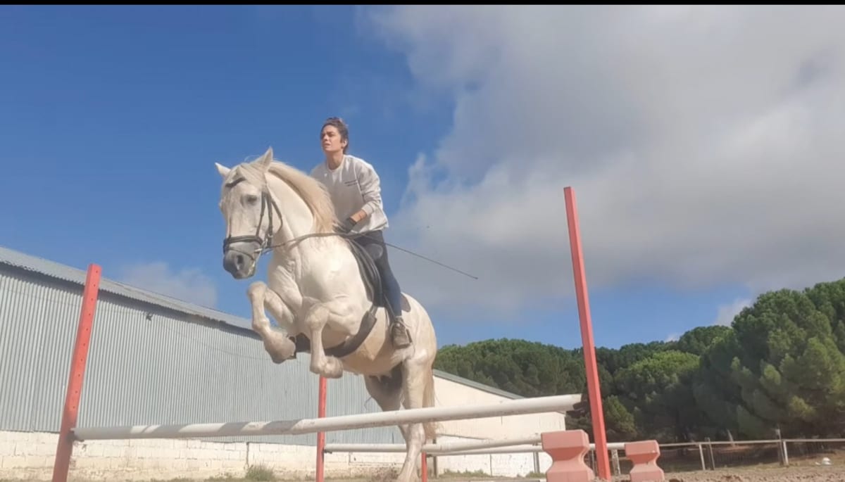 Centro ecuestre La Armonía - Hipica in Tudela de Duero