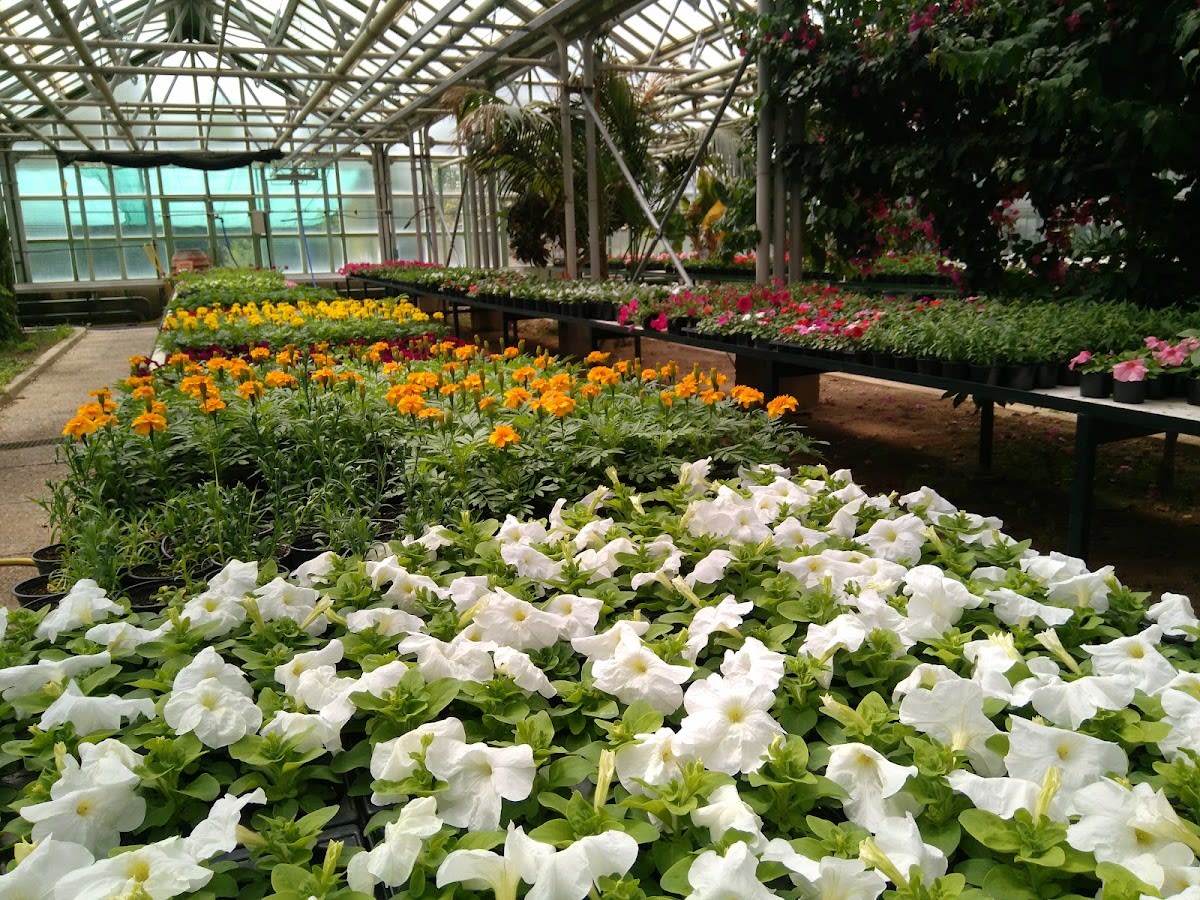 Escuela Técnica Superior de Ingenierías Agrarias de Palencia . Universidad de Valladolid (ETSIAA-UVa) - Hipica a Palencia